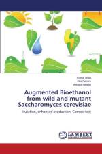 Augmented Bioethanol from wild and mutant Saccharomyces cerevisiae af Naeem Hira