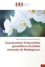 Conservation d'Aeranthes Grandiflora Orchidee Menacee de Madagascar af Ravoniarison-N
