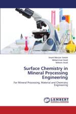 Surface Chemistry in Mineral Processing Engineering af Sanaie Seyed Maziyar