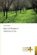 Rays of Shades II af Kalathil Josely