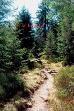 Das Tal Irminsul af Martin Welsch