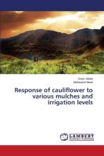 Response of cauliflower to various mulches and irrigation levels af Mane Mahanand