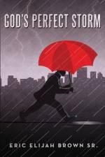 God's Perfect Storm af Sr Brown