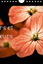 Fleurs Et Couleurs af Arnaud Leotard