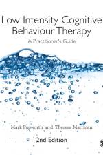 Low Intensity Cognitive Behaviour Therapy
