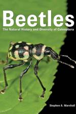 Beetles af Stephen A. Marshall