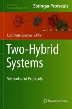 Two-Hybrid Systems
