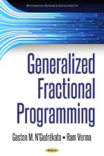 Generalized Fractional Programming af Gaston M N'Guerekata