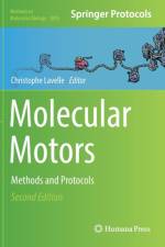 Molecular Motors