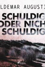 Schuldig oder nicht schuldig af Waldemar Augustiny