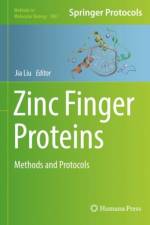 Zinc Finger Proteins