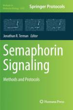 Semaphorin Signaling