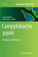 Campylobacter jejuni
