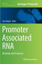Promoter Associated RNA