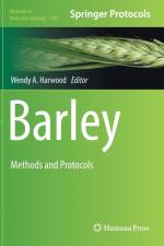 Barley