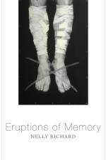 Eruptions of Memory af Nelly Richard