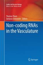 Non-coding RNAs in the Vasculature