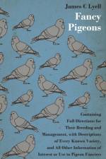 Fancy Pigeons af James C Lyell
