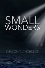 Small Wonders af Sharon T Anderson
