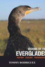 Visions of the Everglades