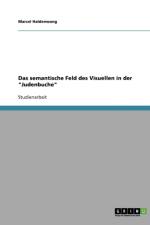 Das semantische Feld des Visuellen in der Judenbuche af Marcel Haldenwang