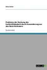 Probleme der Deckung des Fachkraftebedarfs durch Zuwanderung aus den Beitrittslandern af Heiko Heibel