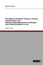 Strategien zur Vermeidung betrieblicher Fehlzeiten. Das Beispiel einer fiktiven GmbH & Co. KG af Michael Schmohl