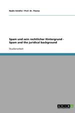 Spam und sein rechtlicher Hintergrund - Spam and the juridical background af Nadin Schäfer
