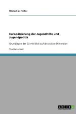Europaisierung der Jugendhilfe und Jugendpolitik af Michael M Fleisser