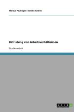 Befristung von Arbeitsverhaltnissen af Markus Paulinger
