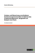 Analyse Und Bewertung Verschiedener Kostenmanagementansatze Im Rahmen Des Projektmanagements, Dargestellt Am Beispiel Einer Bank af Pamela Wittenberg