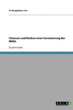 Chancen und Risiken einer Euroisierung der MOEL af Ya Neugebauer-Tao