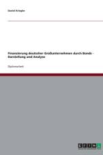 Finanzierung deutscher Grossunternehmen durch Bonds - Darstellung und Analyse af Daniel Kriegler