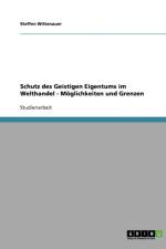 Schutz des Geistigen Eigentums im Welthandel - Moeglichkeiten und Grenzen af Steffen Wittenauer