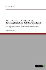 Wie wirken sich Arbeitslosigkeit und Demographie auf den Wohlfahrtsstaat aus? af Frederik Boeckmann