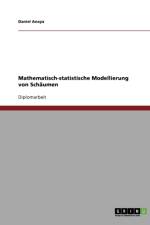Mathematisch-statistische Modellierung von Schaumen af Daniel Anaya