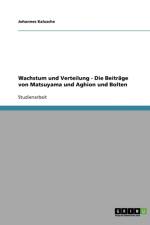 Wachstum und Verteilung - Die Beitrage von Matsuyama und Aghion und Bolten af Johannes Kalusche