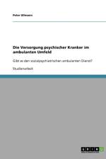 Die Versorgung psychischer Kranker im ambulanten Umfeld af Peter Ullmann
