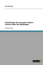 Rechtsfragen der anonymen Geburt - Institut neben der Babyklappe af Julia Neumann