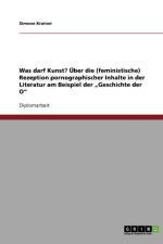 Was darf Kunst? UEber die (feministische) Rezeption pornographischer Inhalte in der Literatur am Beispiel der 