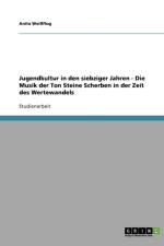 Jugendkultur in den siebziger Jahren - Die Musik der Ton Steine Scherben in der Zeit des Wertewandels af Anita Weissflog