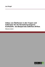 Anbau von OElpflanzen in den Tropen und Subtropen fur die Herstellung biogener Kraftstoffe - Am Beispiel des sudlichen Afrikas af Lars Pingel