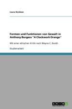 Formen und Funktionen von Gewalt in Anthony Burgess A Clockwork Orange af Laura Hordoan
