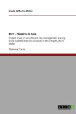 BOT - Projects in Asia af Ursula Katharina Wolter