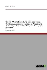 Gnosis - Welche Bedeutung kann oder muss der Gnosis zugetragen werden, in Anbetracht der heutigen Zeit und im Zusammenhang mit der Bibel? af Tobias Hoenger