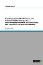 Die oekonomische Wohlfahrtstheorie af Franziska Bittner