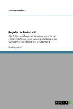 Regulierter Fortschritt af Steffen Schroeder