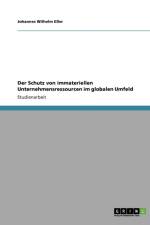 Der Schutz von immateriellen Unternehmensressourcen im globalen Umfeld af Johannes Wilhelm Esser