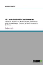 Die Lernende betriebliche Organisation af Christian Scheffel