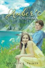 Amber's Dilemma af Madelyn S Palmer